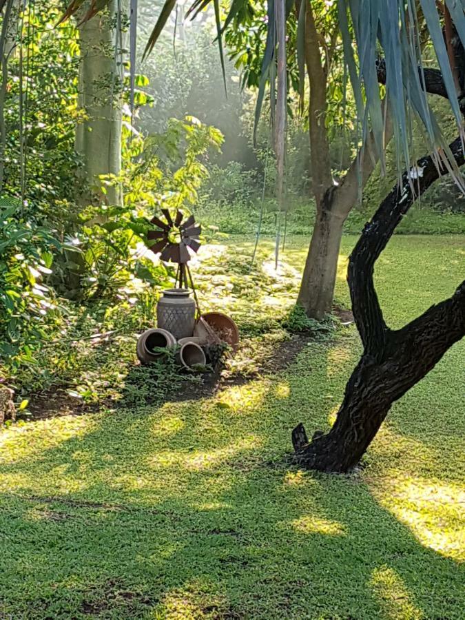 Kruger Allo B&B Komatipoort Luaran gambar