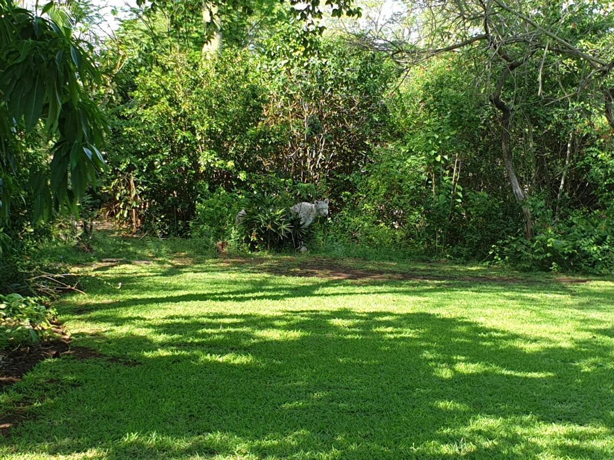 Kruger Allo B&B Komatipoort Luaran gambar